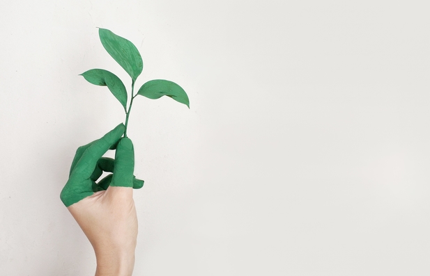 A hand partially painted green, holding a stem with green leaves