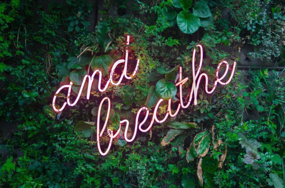 Ways to Successfully Implement a Workplace Wellbeing Programme