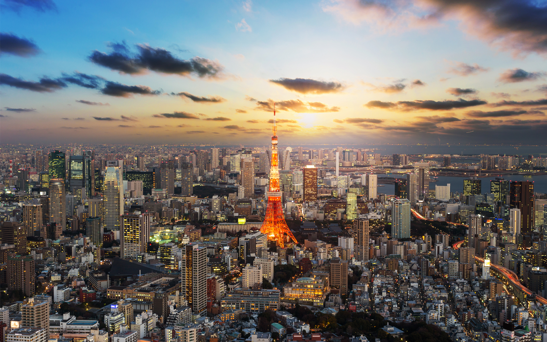 Chiswick High Road internal