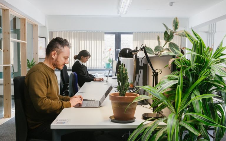Office title
