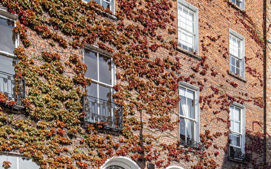 51/52 Fitzwilliam Square West, Dublin 2