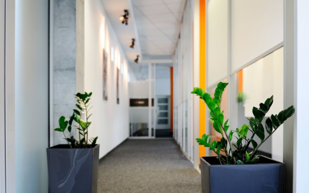 Office title