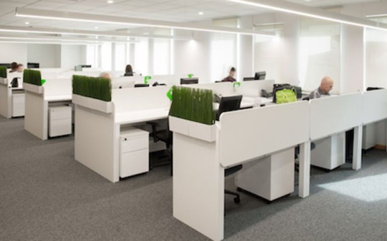 Office title