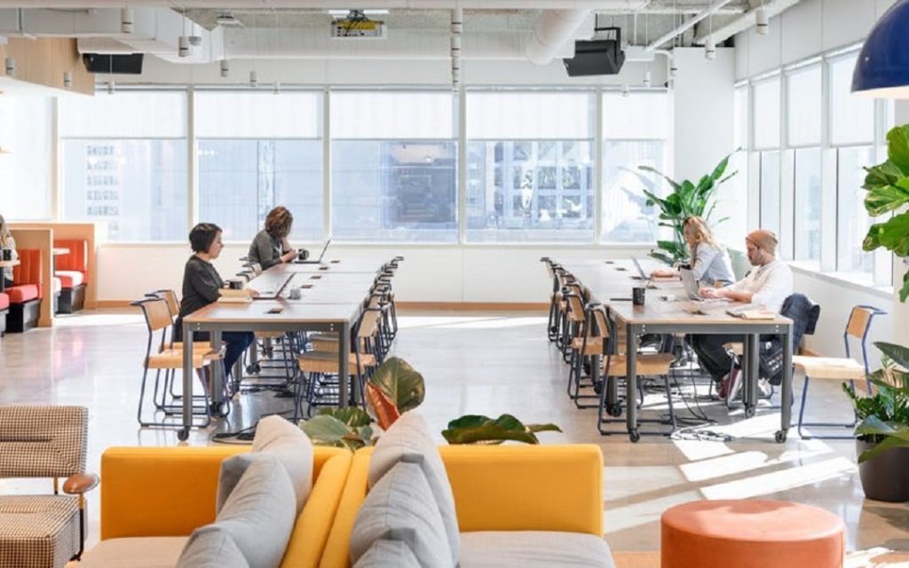 14th Floor, 515 North State Street, 60654