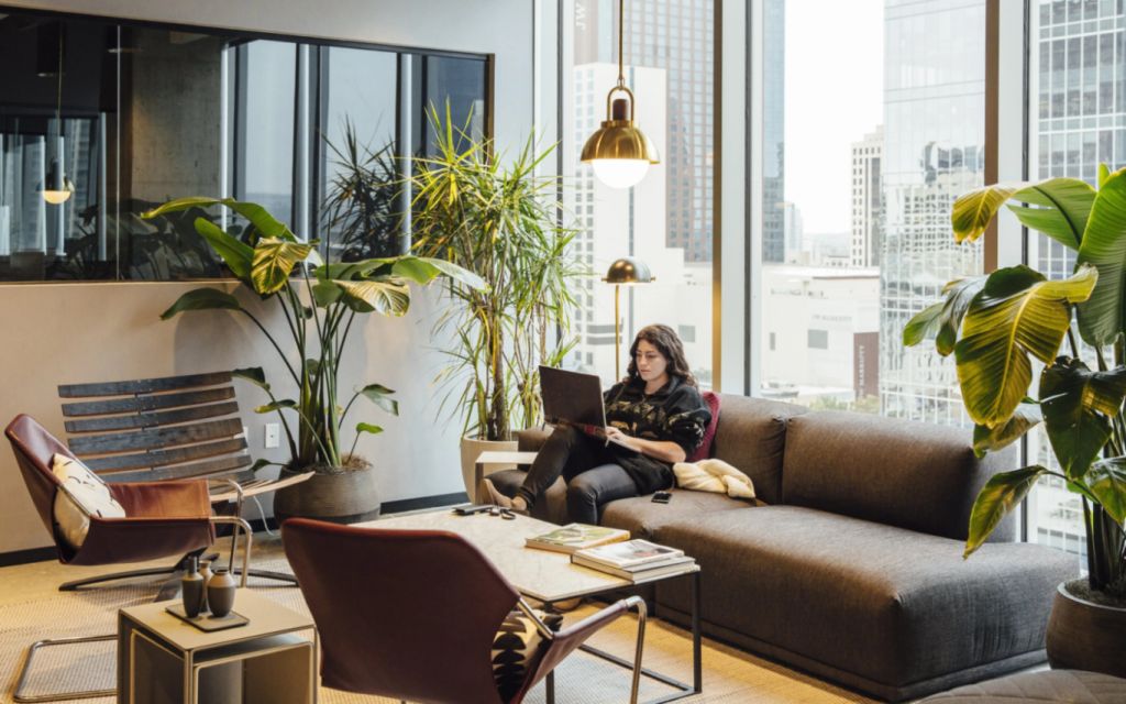 Office title