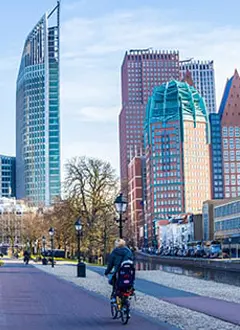 The Hague