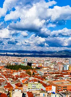 Bursa