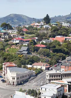 Dunedin