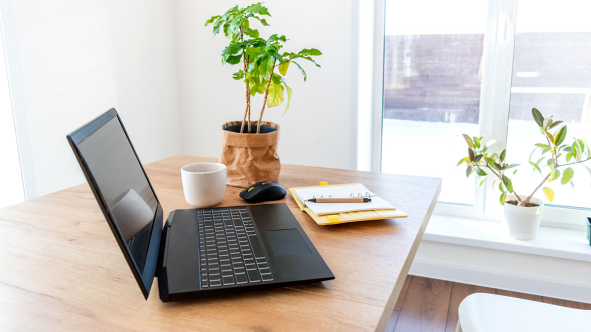 A wooden desk by a window with a laptop, notebook, coffee cup and pot plant on it